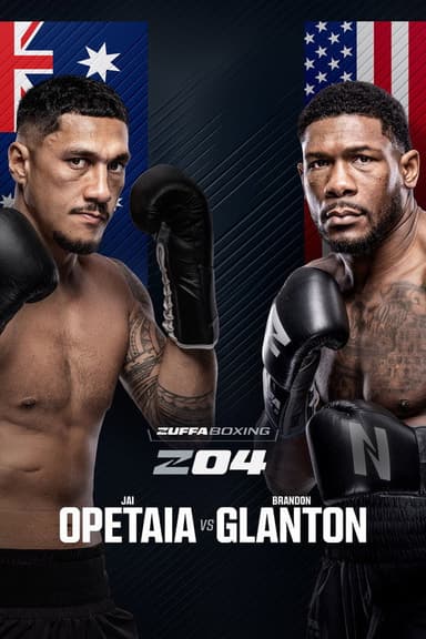 Zuffa Boxing 04