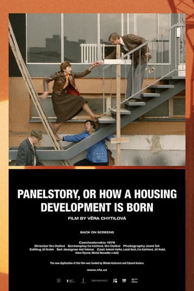 Panelstory or Birth of a Community