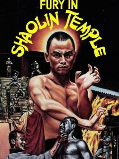 Fury in Shaolin Temple