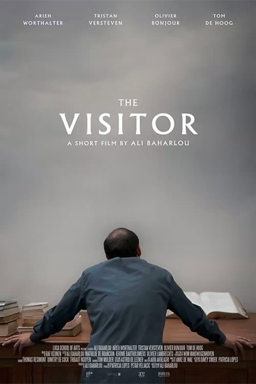 The Visitor
