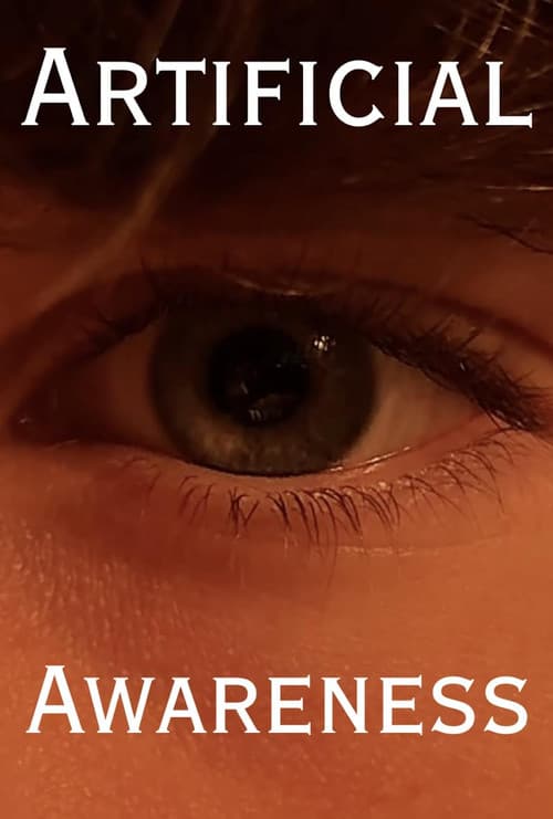 Artificial Awareness
