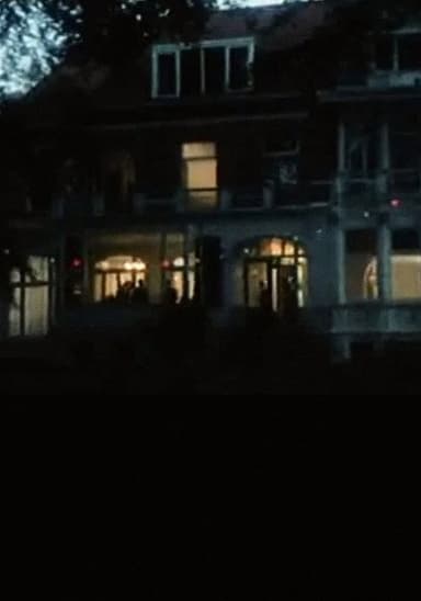In Passing - The Party