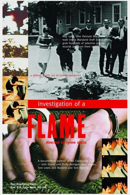 Investigation of a Flame
