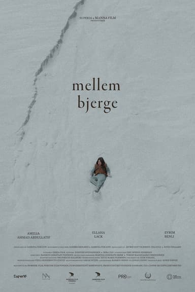 Mellem Bjerge
