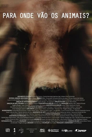 Para Onde Vão Os Animais