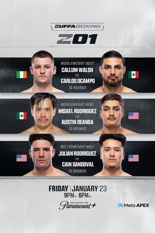 Zuffa Boxing 01