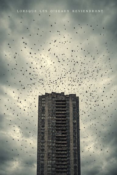 When The Birds Return
