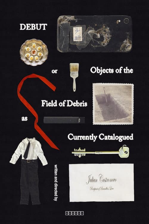 Debut, or, Objects of the Field of Debris as Currently Catalogued