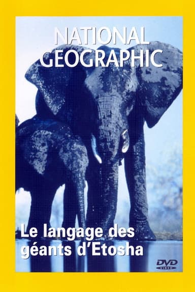 Elephants : Giants of Etosha