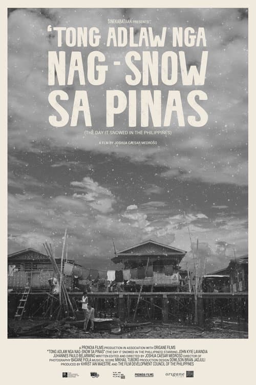The Day It Snowed in the Philippines