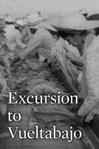 Excursion to Vueltabajo