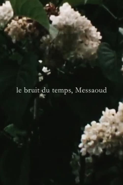 Le bruit du temps, Messaoud