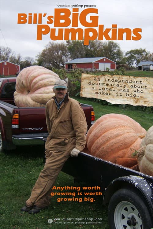 Bill's Big Pumpkins