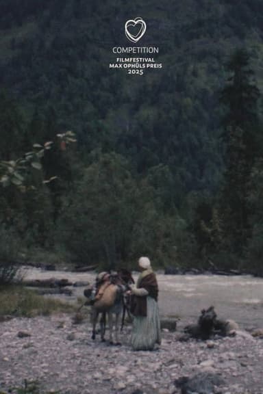 Gold Rush