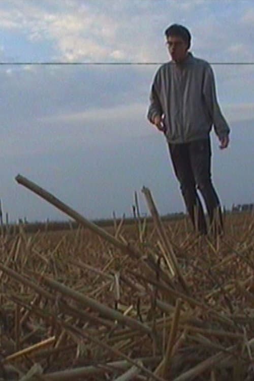 The Roots Of The Horizon