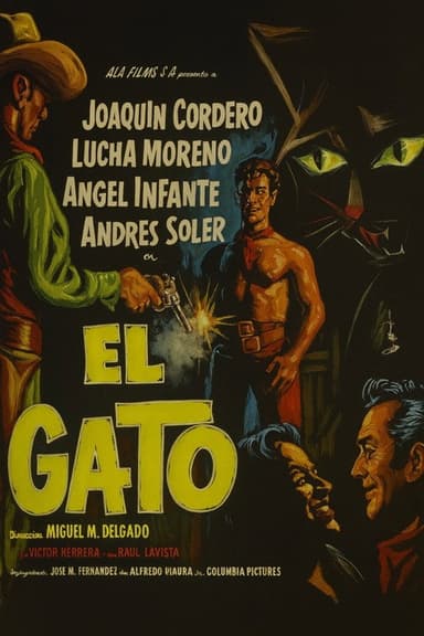 El gato