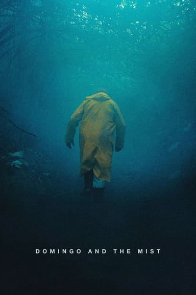 Domingo and the Mist