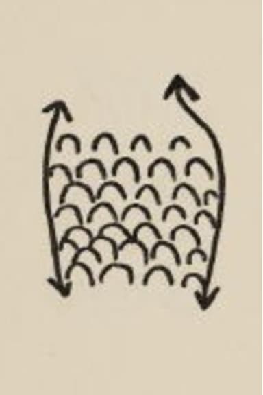 Projet Pour Un Poisson
