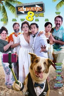 The Trip 8