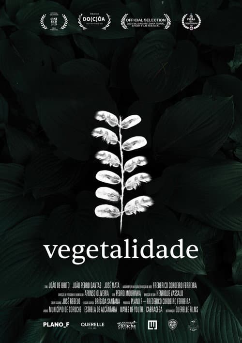 Vegetalidade