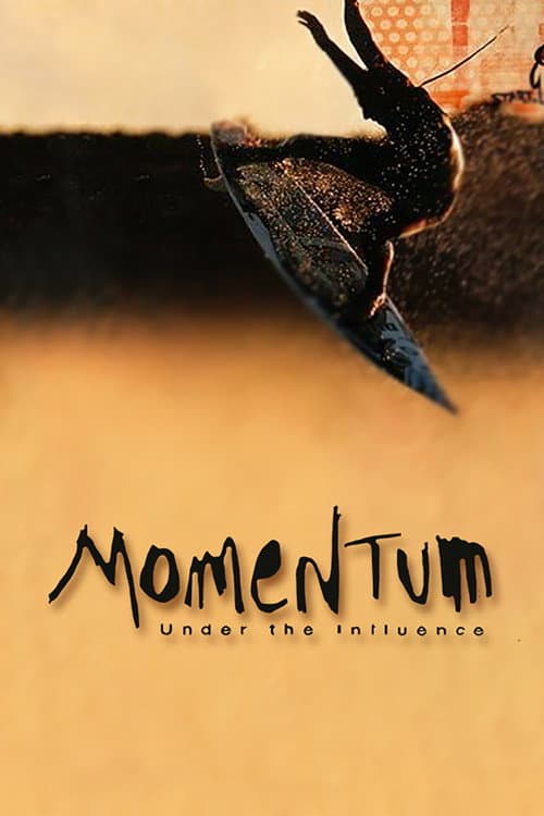 Momentum: Under the Influence