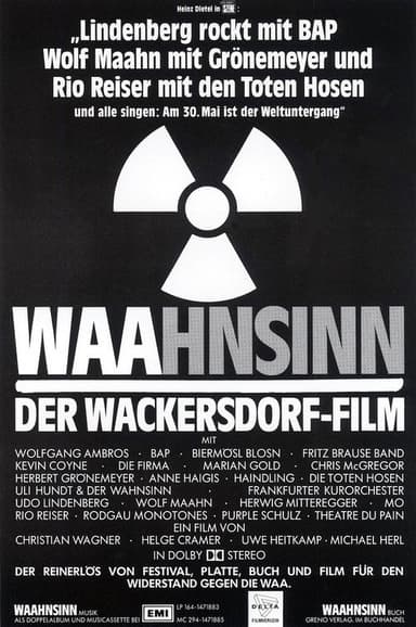 WAAhnsinn - der Film