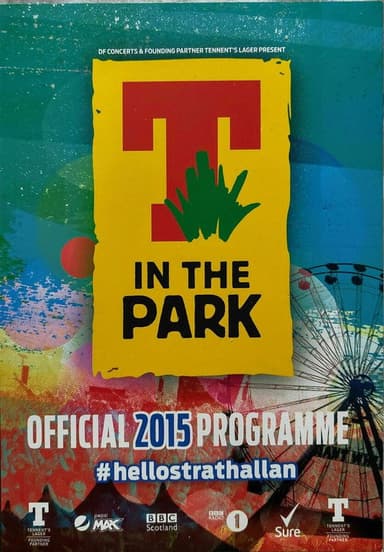 Avicii live in The Park