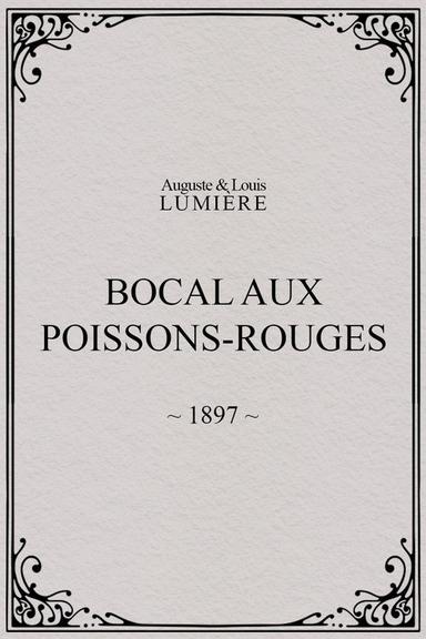 Bocal aux poissons rouges