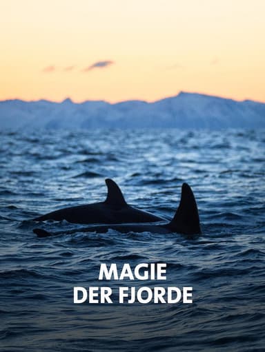 NORWAY´S MAGICAL FJORDS