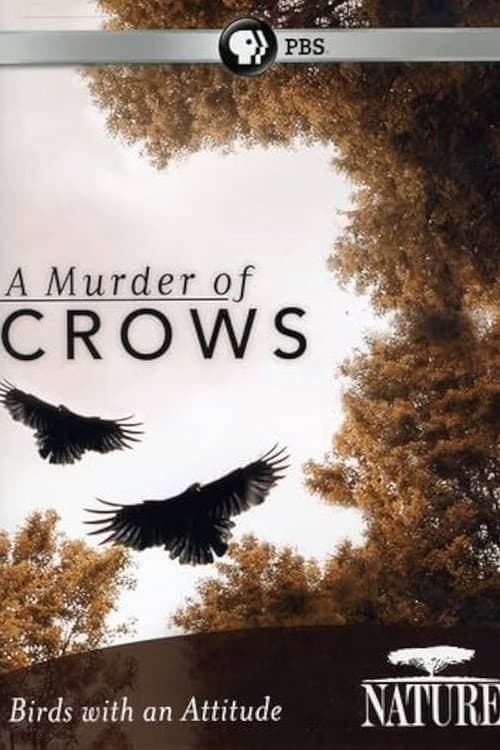 A Murder of Crows