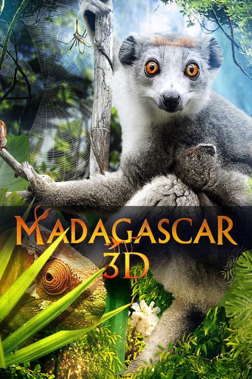 Madagascar 3D