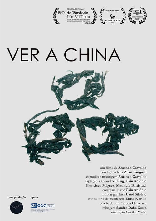 Ver a China