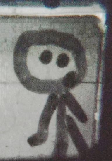 Private Version – Walking Person