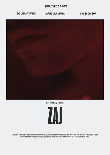 Zaj