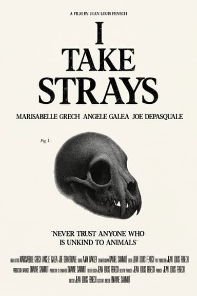 I TAKE STRAYS