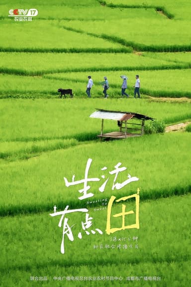 生活有点“田”