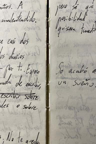 Releyendo mi diario (Autorretrato)