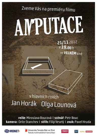 Amputace