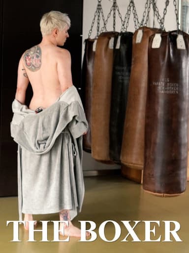 The Boxer