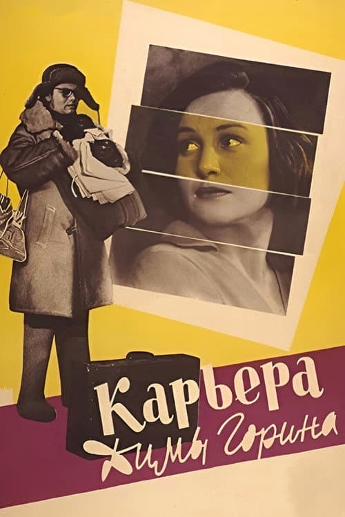 Dima Gorin's Career
