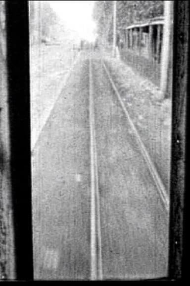 Straight Line (Stevens Duke)