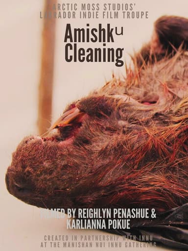 Harvesting Traditional Innu Foods: Amishkᵘ