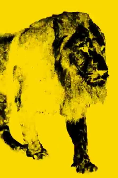 9 Images of a Lion in Movement