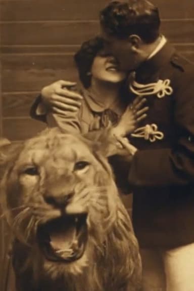 Love Amongst the Lions
