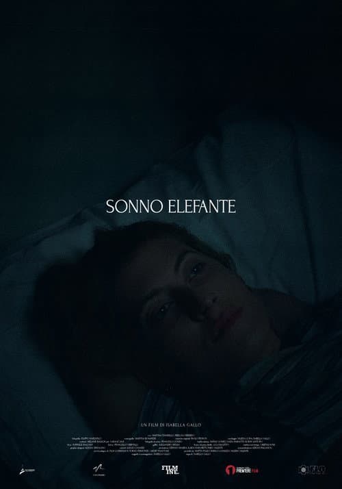 Sonno Elefante