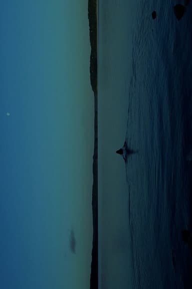 THE WATERS