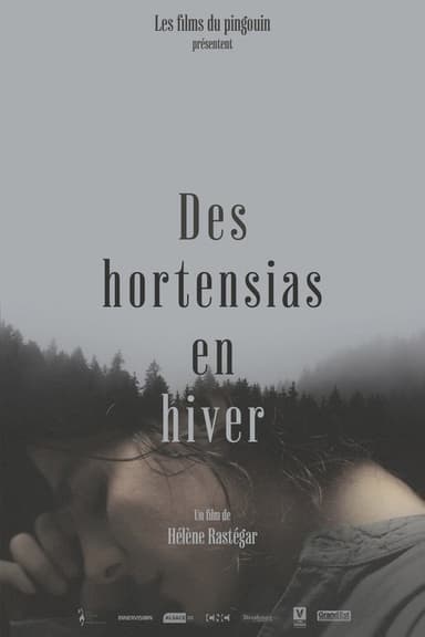 Des Hortensias en Hiver