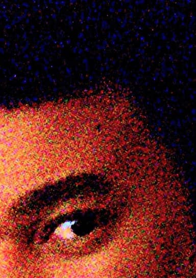 Pedro's head
