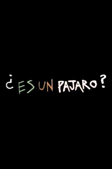 Es Un Pajaro