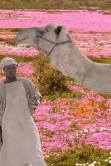 The Future Was Desert